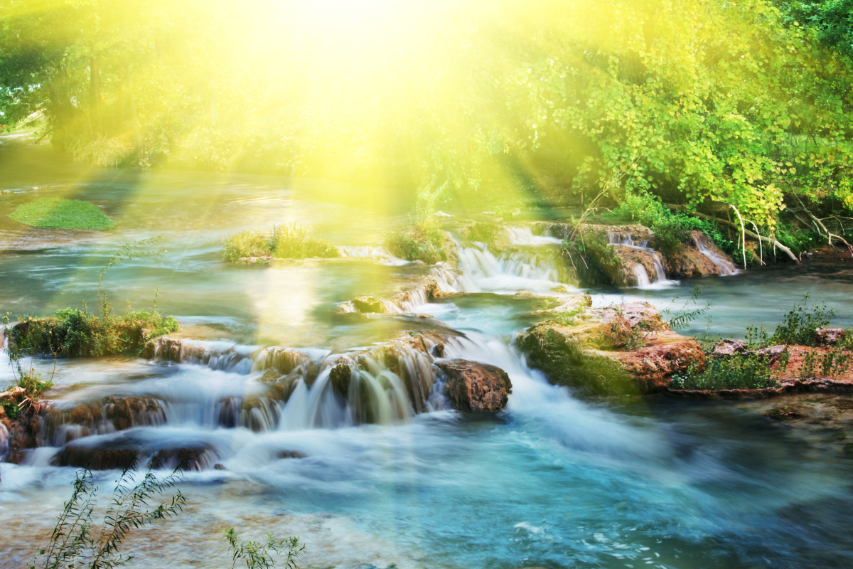 Uma representação visual da solidez e prosperidade de quem busca a Deus.
