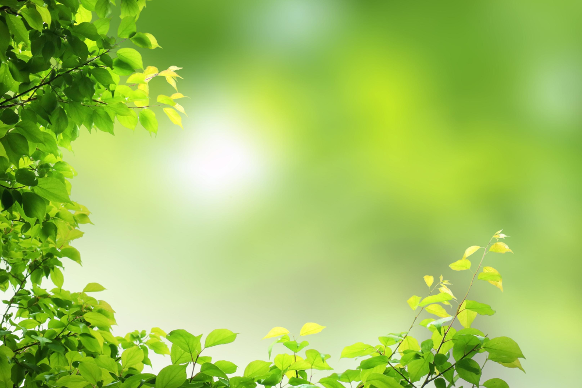 Um lembrete visual para pensar antes de agir.