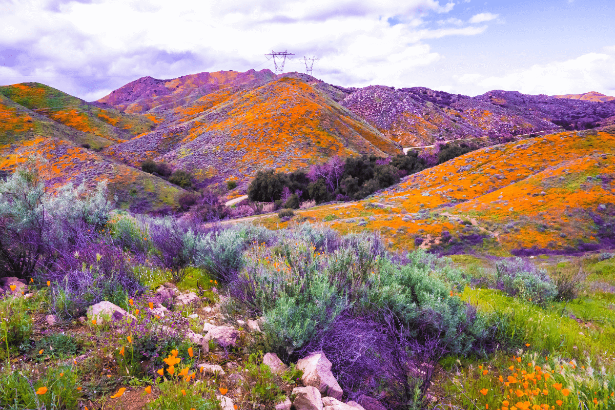 Reflexão sobre a paciência de Deus e Seu desejo pelo arrependimento.
