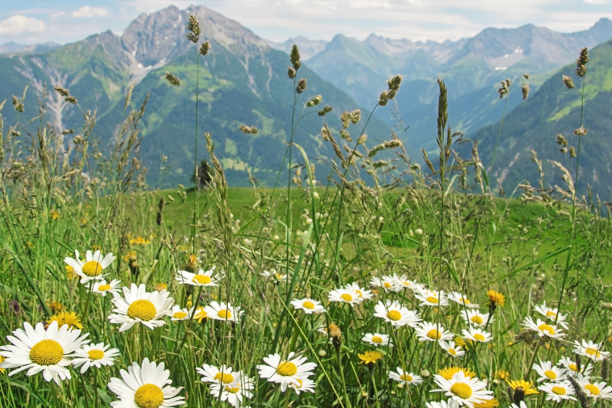 Uma pessoa em atitude de oração e reflexão, envolta por uma luz suave que simboliza a pureza e a presença do Espírito Santo na jornada de santificação.